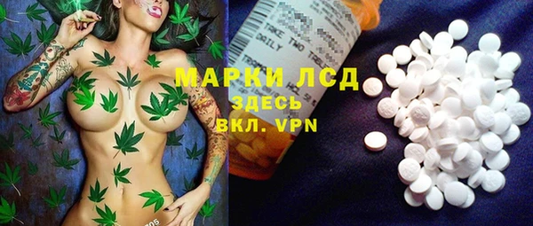 шишки Абинск