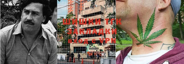 шишки Абинск