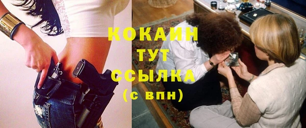 шишки Абинск