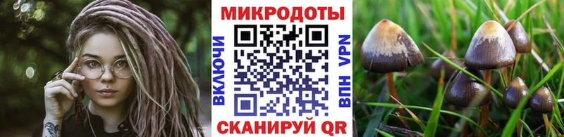 Псилоцибиновые грибы мицелий  магазин    Никольск 